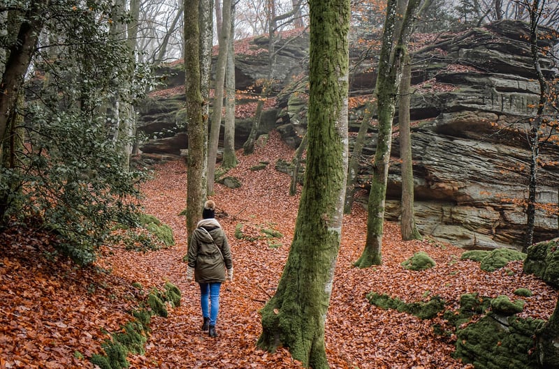 Mindful Walking